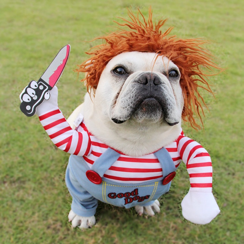 Halloween Dog Costume product view 2